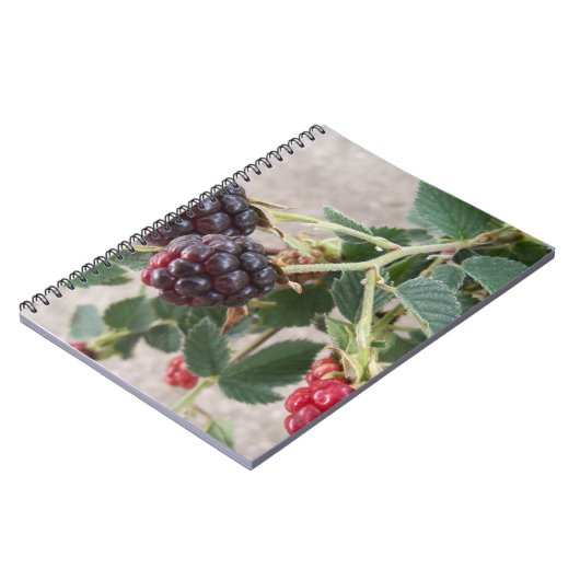 Ripe Blackberries op een notitieboek (Linkerzijde)