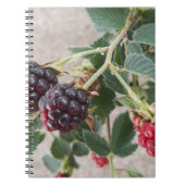 Ripe Blackberries op een notitieboek (Voorkant)