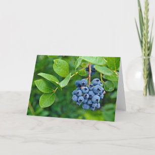 Ripe Blueberries Kaart