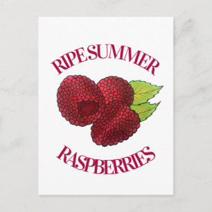 Ripe Fresh Summer Red Frafrabes Fruit Berry Briefkaart
