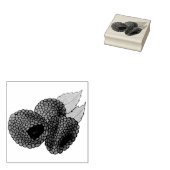 Ripe Fresh Summer Red Frafrabes Fruit Berry Rubberstempel (Gestempeld)