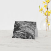 Ripe gerstoren (Hordeum vulgare) Kaart (Gele Bloem)