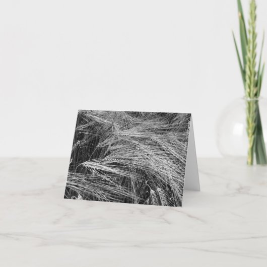 Ripe gerstoren (Hordeum vulgare) Kaart (Voorkant)