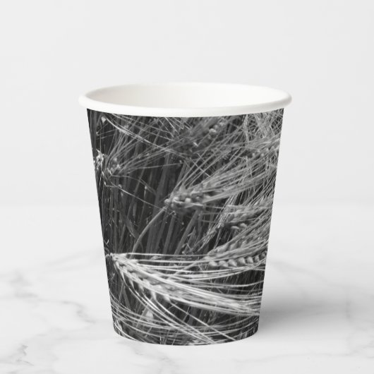 Ripe gerstoren (Hordeum vulgare) Papieren Bekers (Voorkant)