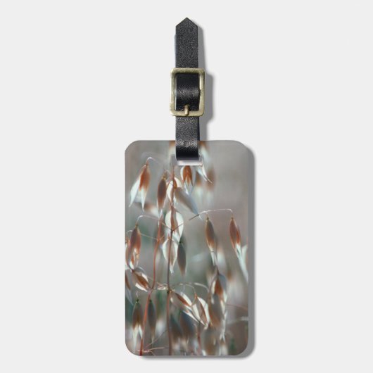 Ripe haver (Avena sativa) gaat dicht. Ceres, Bolan Bagagelabel (Voorkant verticaal)