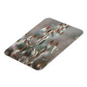 Ripe haver (Avena sativa) gaat dicht. Ceres, Bolan Magneet (Linkerzijde)