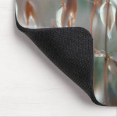 Ripe haver (Avena sativa) gaat dicht. Ceres, Bolan Muismat (Hoek)