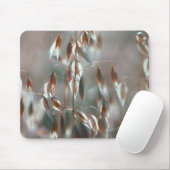 Ripe haver (Avena sativa) gaat dicht. Ceres, Bolan Muismat (Met muis)