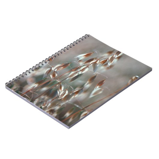 Ripe haver (Avena sativa) gaat dicht. Ceres, Bolan Notitieboek (Linkerzijde)