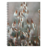 Ripe haver (Avena sativa) gaat dicht. Ceres, Bolan Notitieboek (Voorkant)