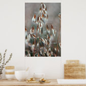 Ripe haver (Avena sativa) gaat dicht. Ceres, Bolan Poster (Keuken)