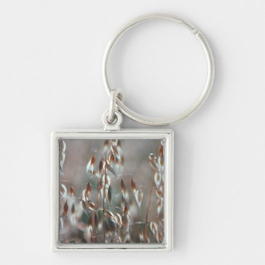 Ripe haver (Avena sativa) gaat dicht. Ceres, Bolan Sleutelhanger (Voorkant)