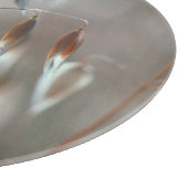 Ripe haver (Avena sativa) gaat dicht. Ceres, Bolan Snijplank (Hoek)