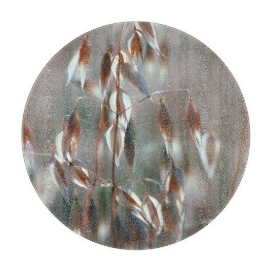 Ripe haver (Avena sativa) gaat dicht. Ceres, Bolan Snijplank (Voorkant)