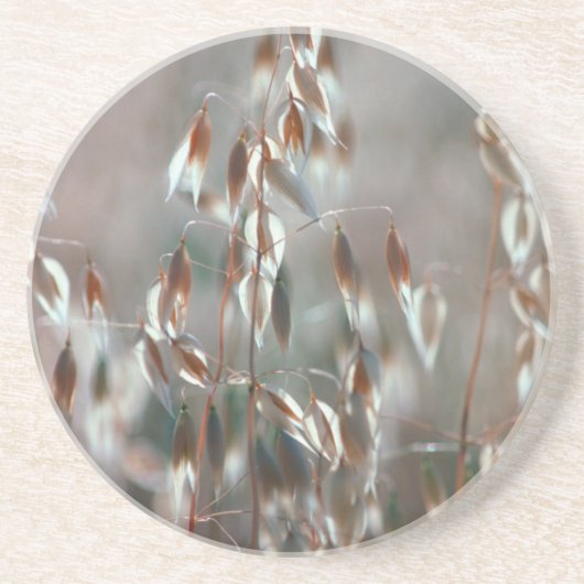 Ripe haver (Avena sativa) gaat dicht. Ceres, Bolan Zandsteen Onderzetter (Voorkant)