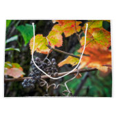 Ripe Isabella druif Groot Cadeauzakje (Voorkant)