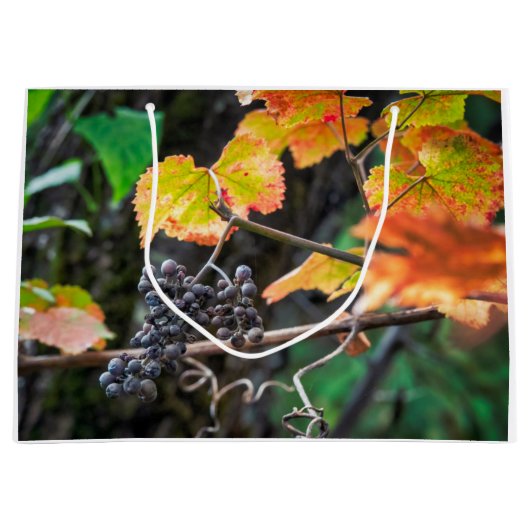 Ripe Isabella druif Groot Cadeauzakje (Voorkant)