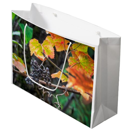 Ripe Isabella druif Groot Cadeauzakje (Voorkant Gekanteld)