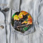 Ripe Isabella druif Ronde Button 4,0 Cm (In situ)