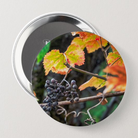 Ripe Isabella druif Ronde Button 4,0 Cm (Voorkant /achterkant)