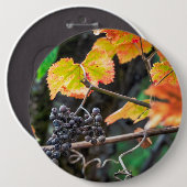 Ripe Isabella druif Ronde Button 6,0 Cm (Voorkant /achterkant)