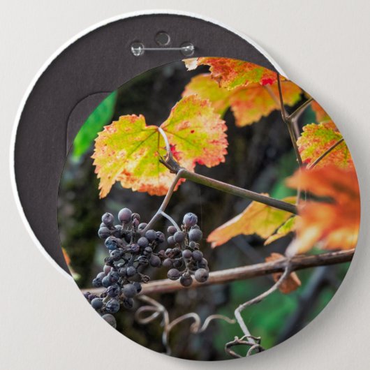 Ripe Isabella druif Ronde Button 6,0 Cm (Voorkant /achterkant)