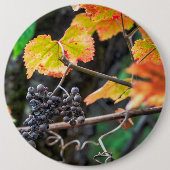 Ripe Isabella druif Ronde Button 6,0 Cm (Voorkant)