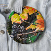 Ripe Isabella druif Ronde Button 6,0 Cm (In situ)