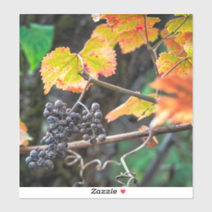 Ripe Isabella druif Sticker