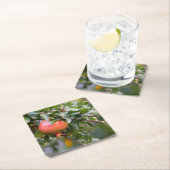 Ripe Pomegranaat op de Leafy Shrub Kartonnen Onderzetters (Insitu)