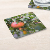 Ripe Pomegranaat op de Leafy Shrub Kartonnen Onderzetters (Schuin)