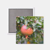 Ripe Pomegranaat op de Leafy Shrub Magneet (Voorkant / Achterkant)