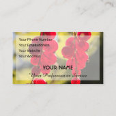 Ripe rode fruitige aalbessen voor boeren busin visitekaartje (Achterkant)