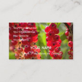 Ripe rode fruitige aalbessen voor landbouwers visitekaartje (Achterkant)
