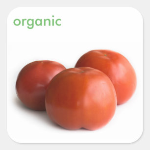 Ripe tomato vierkante sticker
