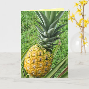 Ripe, vers, heerlijk - ananas van mijn dromen kaart