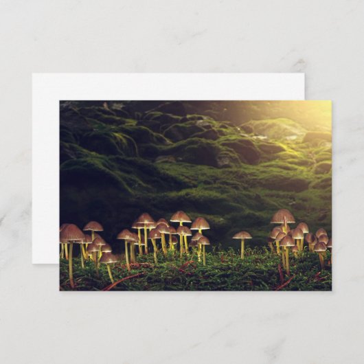 Ripe wilde paddenstoelen in het bos bedankkaart (Voorkant / Achterkant)