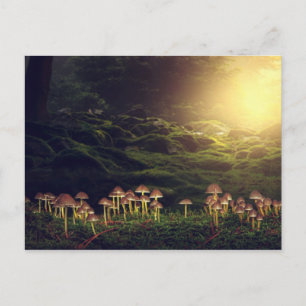 Ripe wilde paddenstoelen in het bos briefkaart