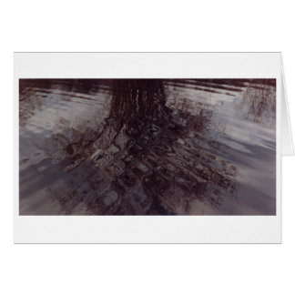 Ripels die in een vijver snijden