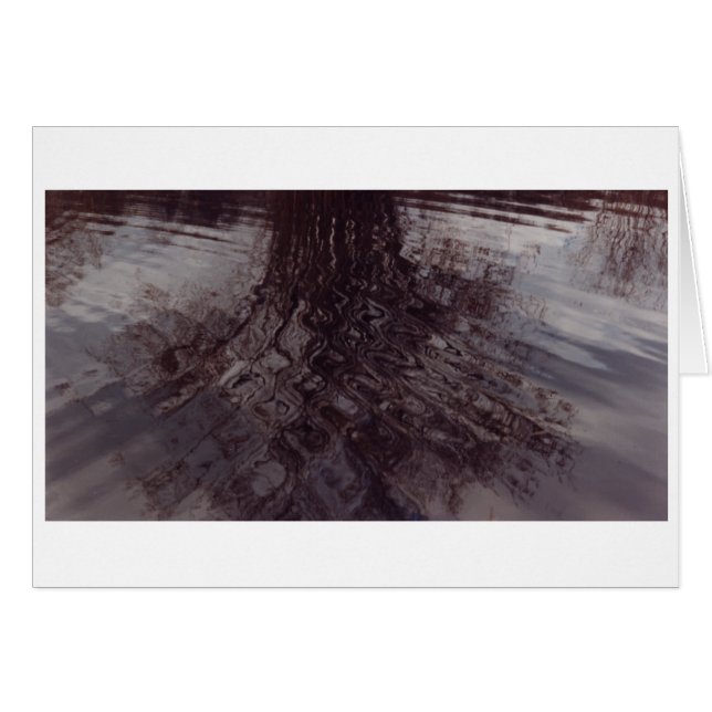 Ripels die in een vijver snijden (Voorkant Horizontaal)