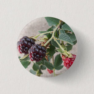 Ripering Blackberries Ronde Button 3,2 Cm