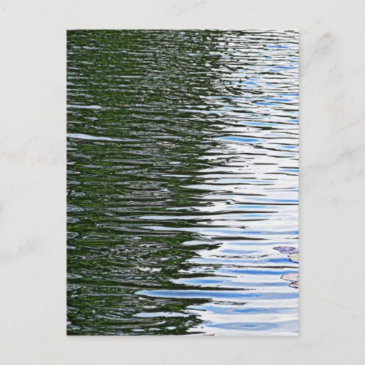 Ripkoppelwater Briefkaart (Voorkant)