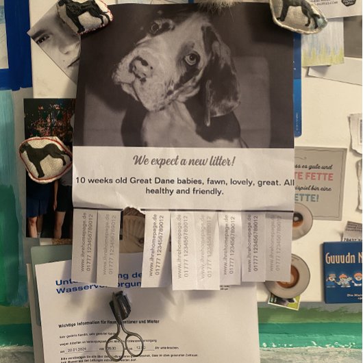 Ripp Off Flyer Puppy verkoopt rood groen