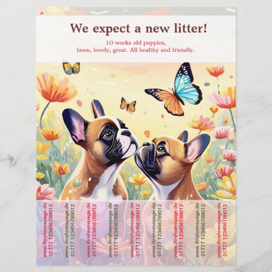 Ripp off Franse Bulldog Puppies Flyer (Voorkant)