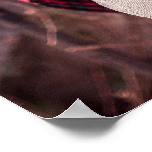 Ripped Jeans & Tattoo poster (Hoek)