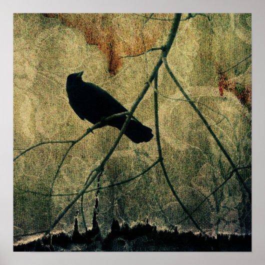 Ripped Poster (Voorkant)