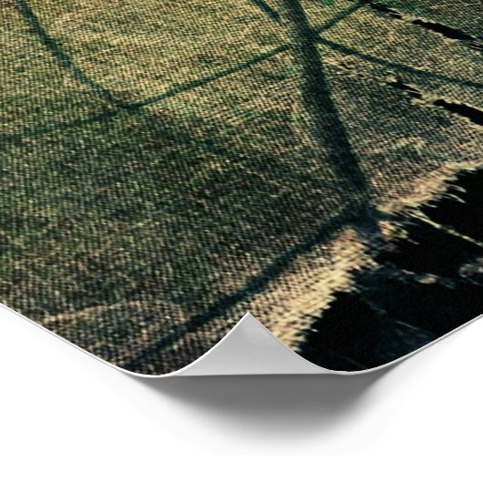 Ripped Poster (Hoek)