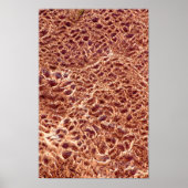 Rippels op zand balk poster (Voorkant)