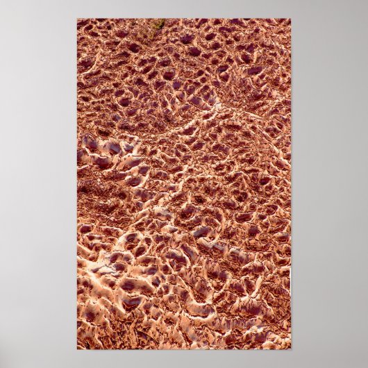 Rippels op zand balk poster (Voorkant)