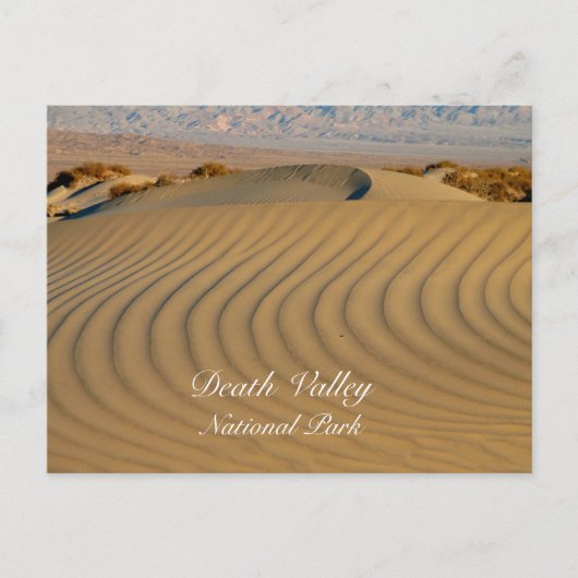Rippled Sand, Mesquité Flat, Death Valley NP, CA Briefkaart (Voorkant)